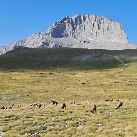 Αθηνα A7 Daire Kateríni Dış mekan fotoğraf